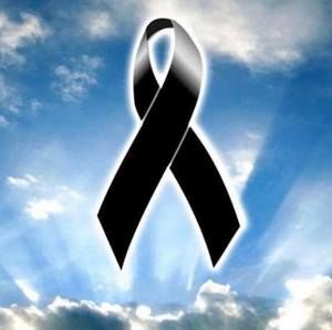 Meet your Posher, Irma